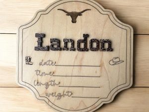 Personalized Western Longhorn Baby Stat Sign, Baby Announcement, Handmade