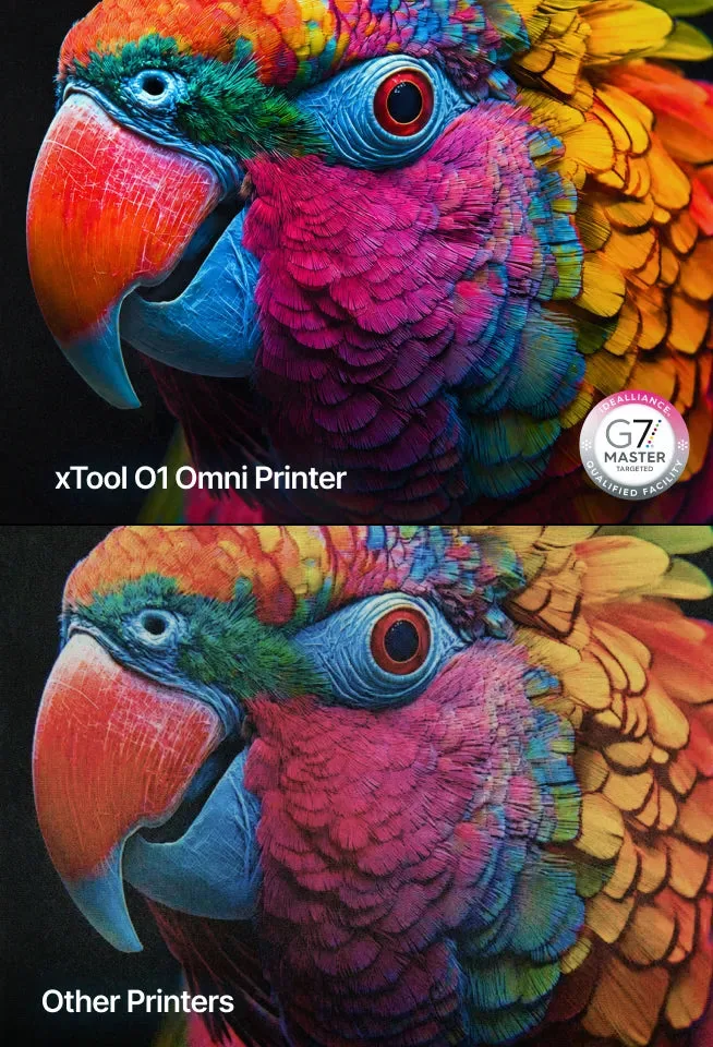 Detailed color print sample